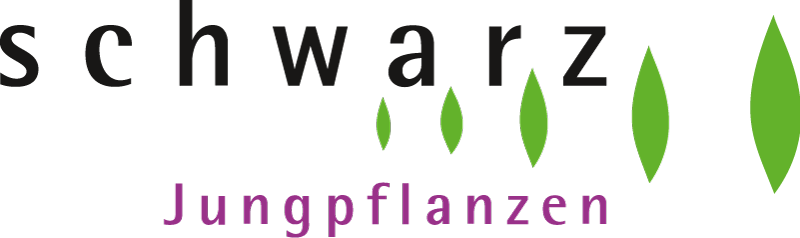 Logo Jungpflanzen